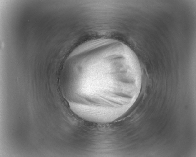 X0000065971249200603241904