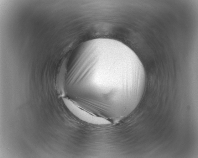 X0000065971250200603241904