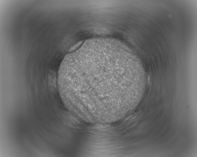 X0000065971251200603241904