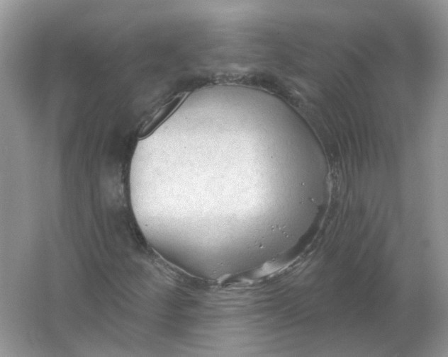 X0000065971252200603241904