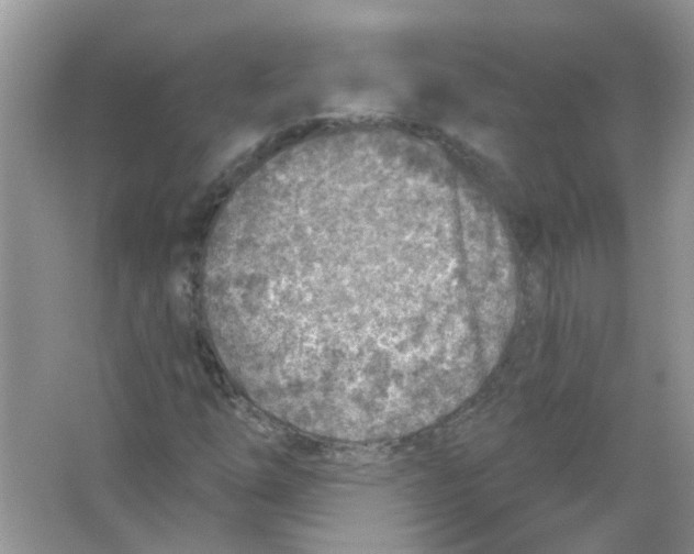 X0000065971254200603241904