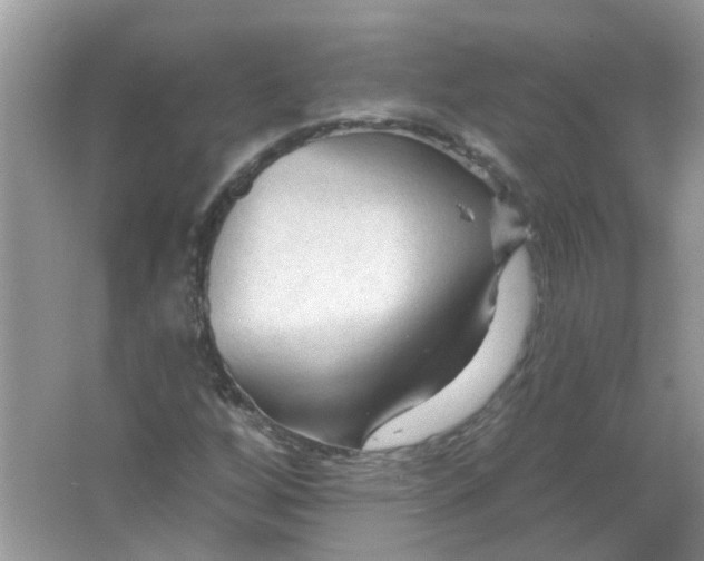 X0000065971256200603241904