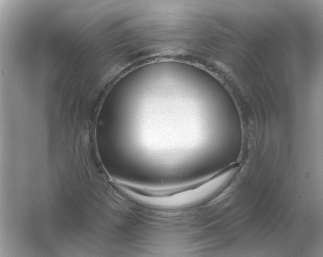 X0000065971257200603241904