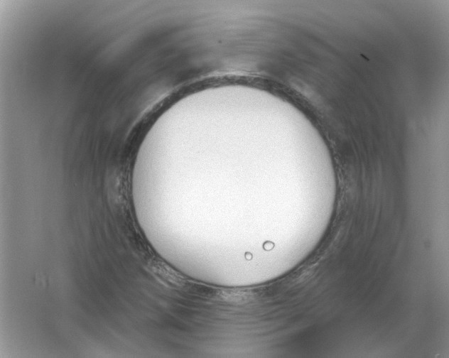 X0000065971258200603241904