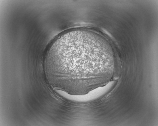 X0000065971259200603241904