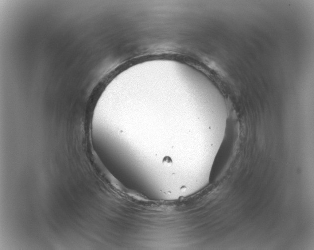 X0000065971261200603241904