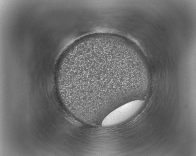 X0000065971263200603241904