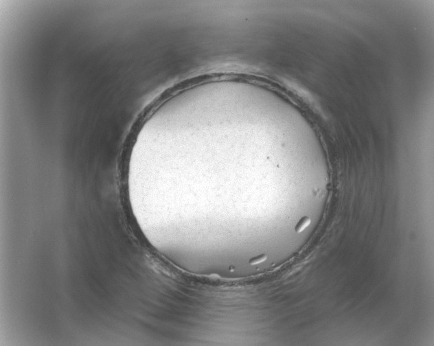 X0000065971264200603241904