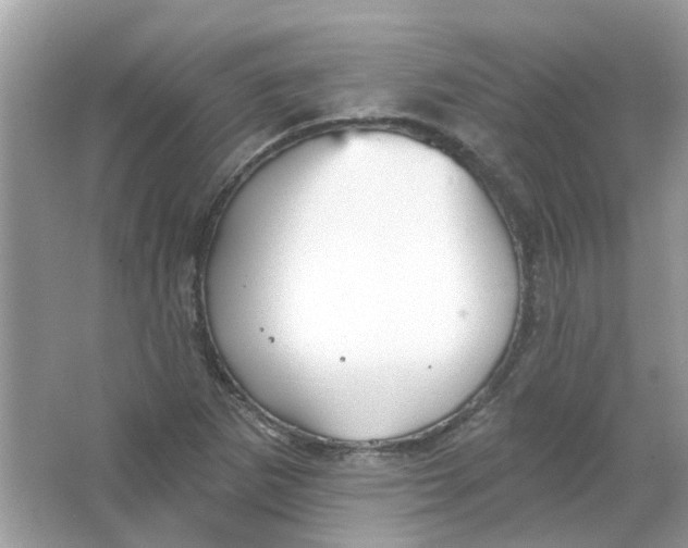 X0000065971265200603241904