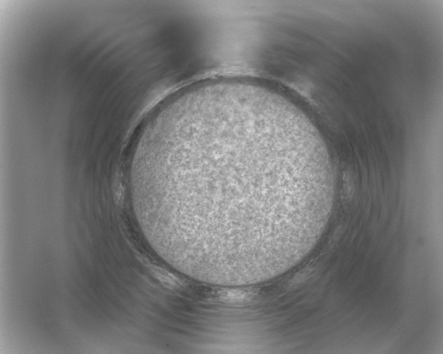 X0000065971266200603241904