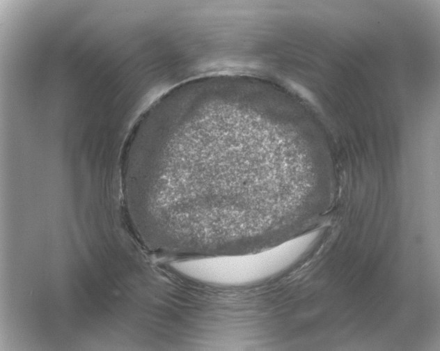 X0000065971267200603241904