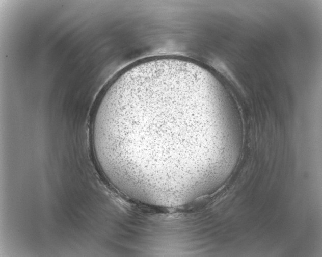 X0000065971268200603241904