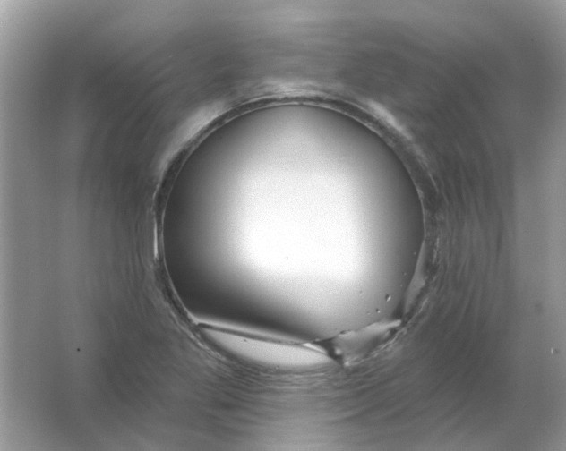 X0000065971269200603241904