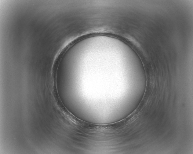 X0000065971270200603241904