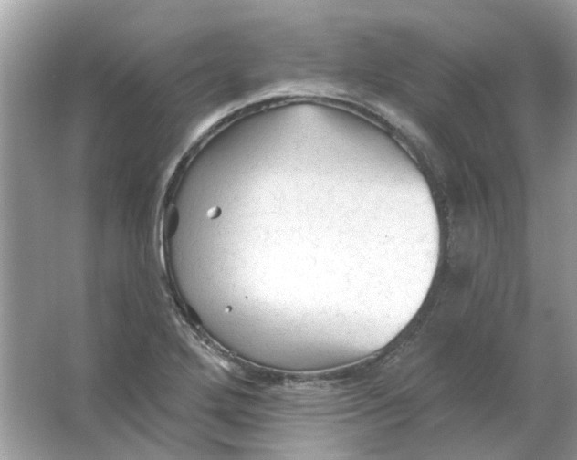 X0000065971272200603241904