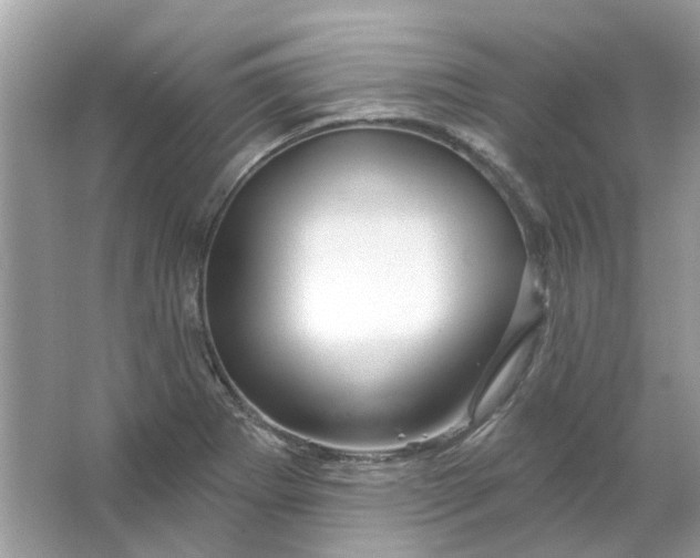 X0000065971273200603241904