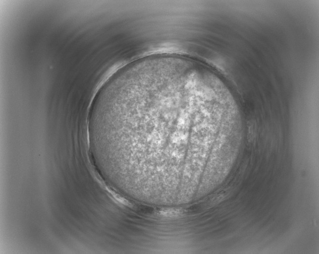 X0000065971274200603241904