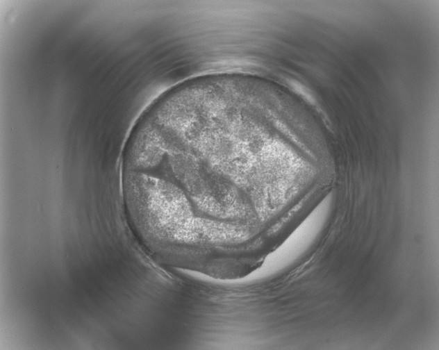 X0000065971275200603241904