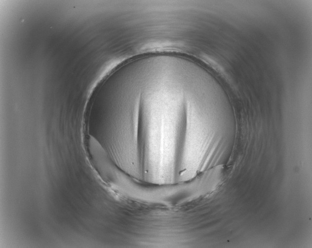 X0000065971277200603241904