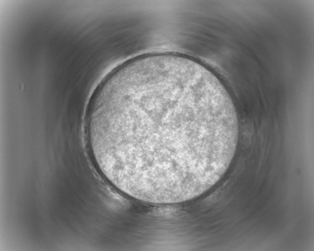 X0000065971278200603241904