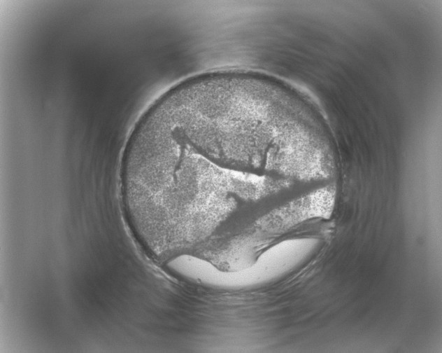 X0000065971279200603241904