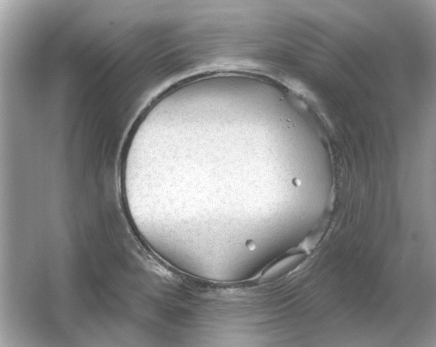 X0000065971280200603241903