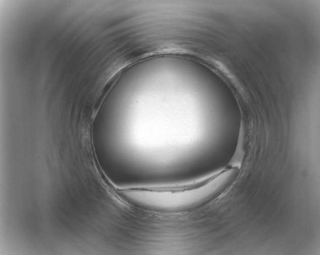 X0000065971281200603241903