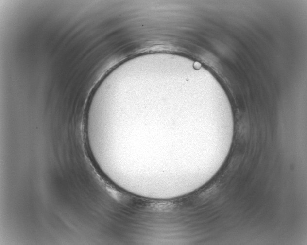 X0000065971282200603241903