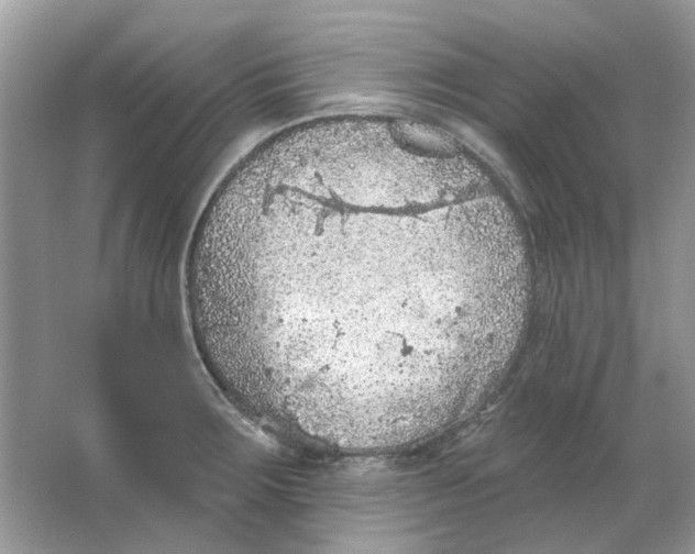 X0000065971283200603241903