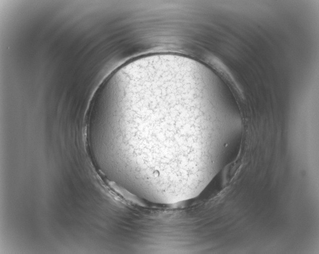 X0000065971284200603241903