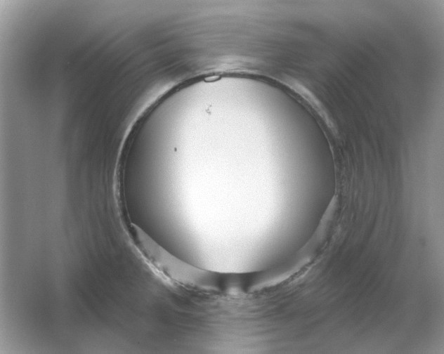 X0000065971285200603241903