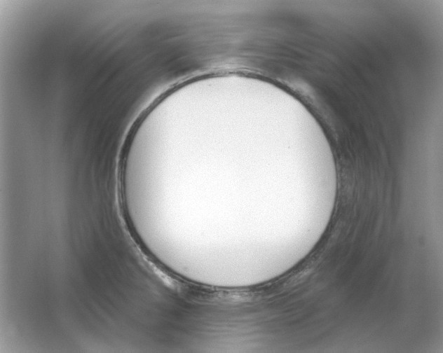 X0000065971286200603241903