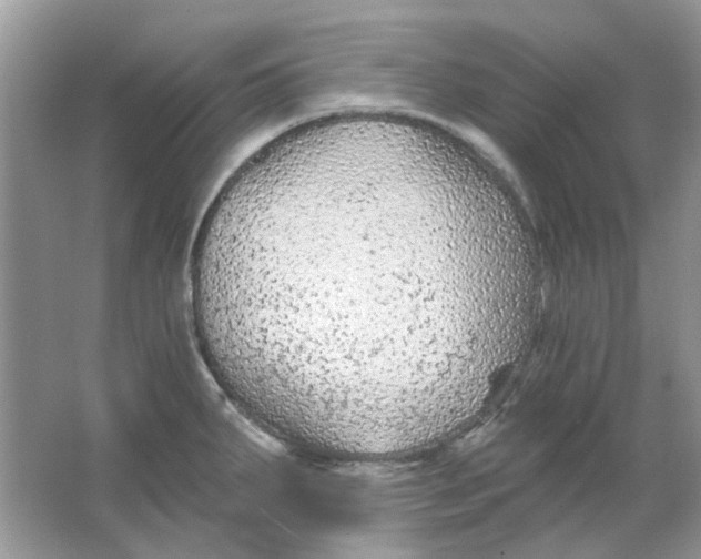 X0000065971287200603241903