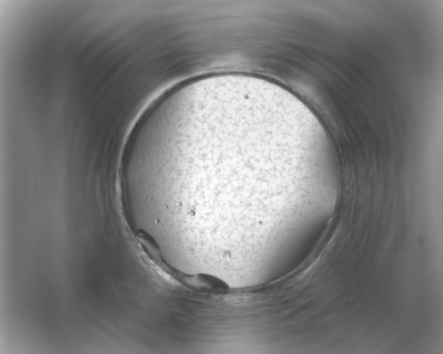 X0000065971288200603241903