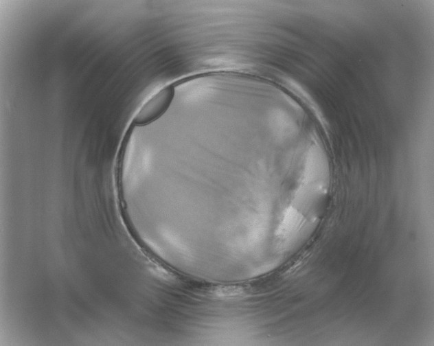 X0000065971291200603241903