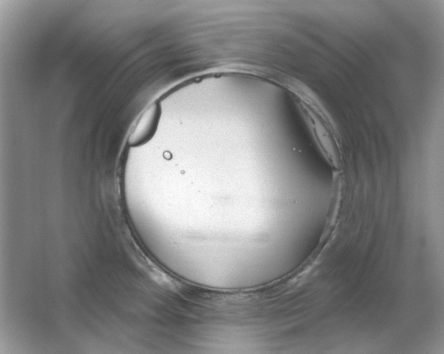 X0000065971292200603241903