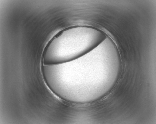 X0000065971293200603241903