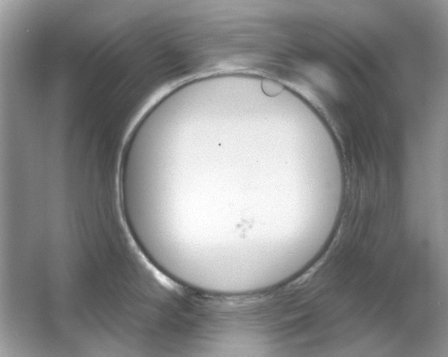 X0000065971294200603241903