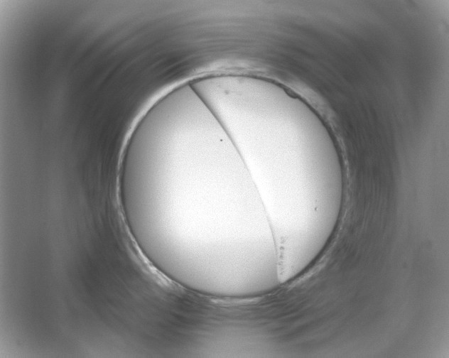 X0000065971296200603241903