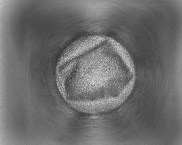 X0000065971297200603241902