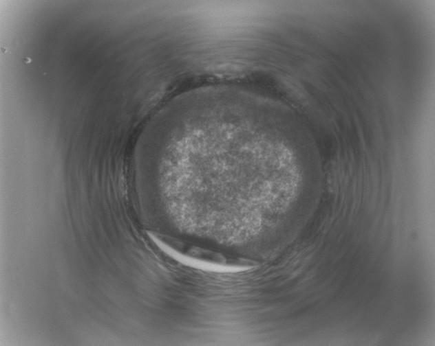 X0000065971298200603241902