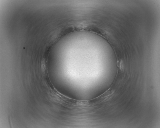 X0000065971299200603241902