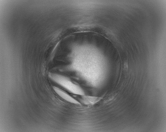 X0000065971300200603241902