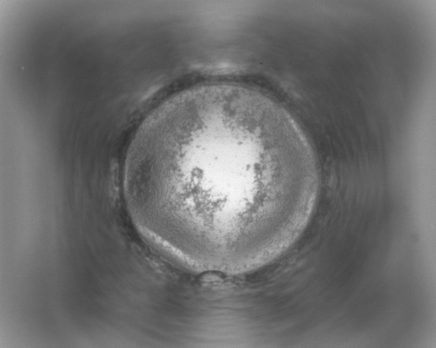 X0000065971301200603241902