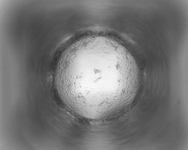 X0000065971302200603241902