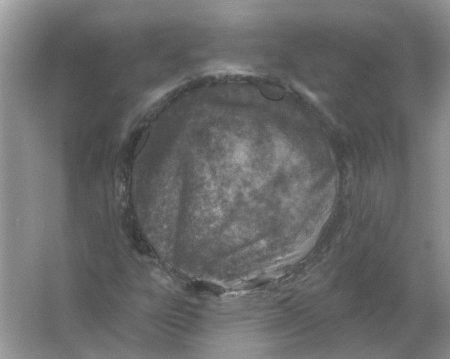 X0000065971303200603241903