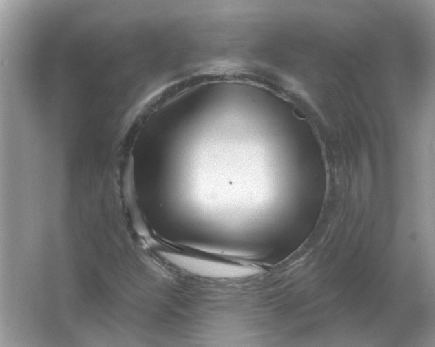 X0000065971304200603241903