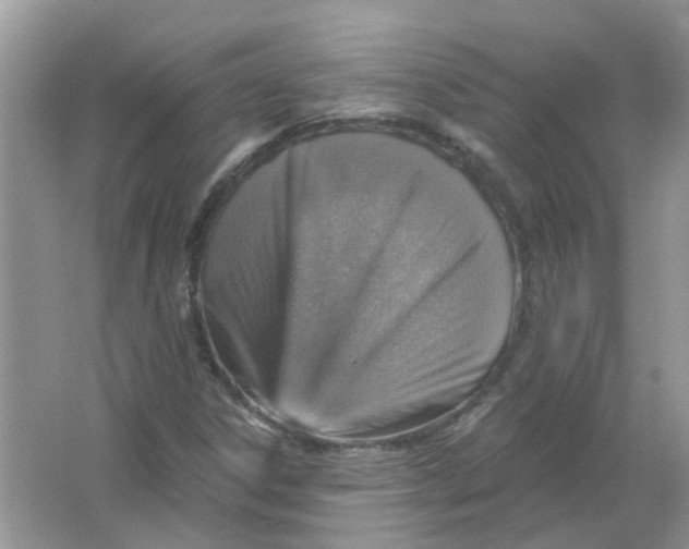 X0000065971306200603241903