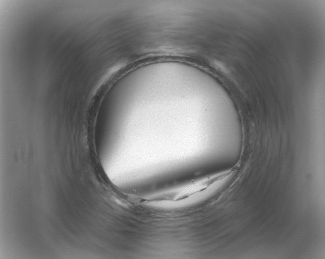 X0000065971307200603241903