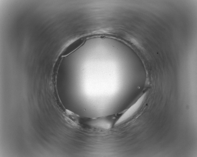 X0000065971308200603241903